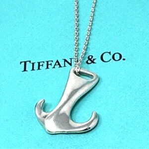 Authentic Tiffany & co Rare Vintage Elsa Peretti Anchor Pendant Necklace.